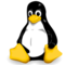 Linux RDP